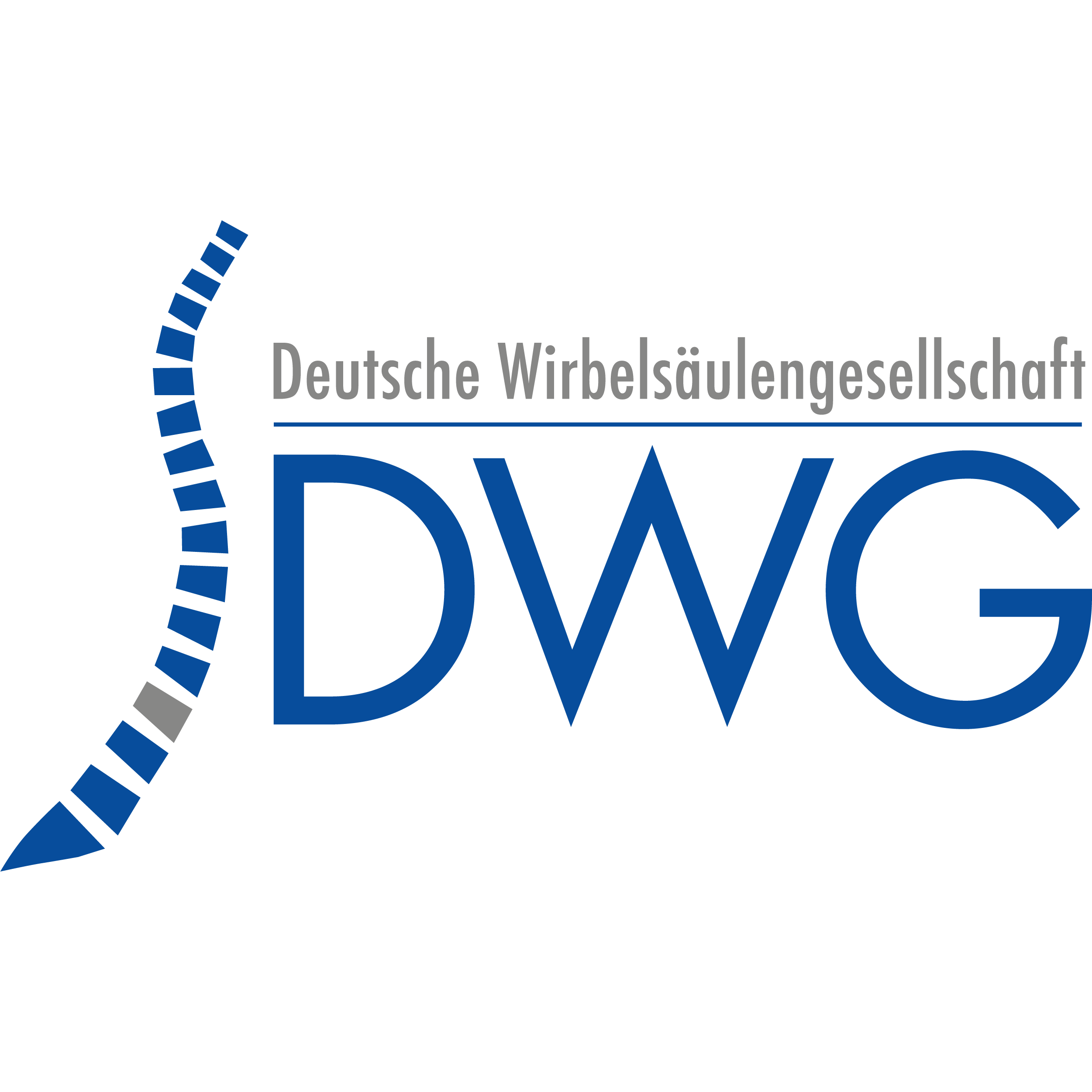 21. Jahrestagung der Deutschen Wirbelsäulengesellschaft | Deutscher Wirbelsäulenkongress